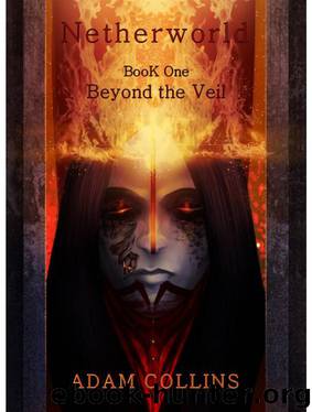 Netherworld: Beyond the Veil by Adam Collins