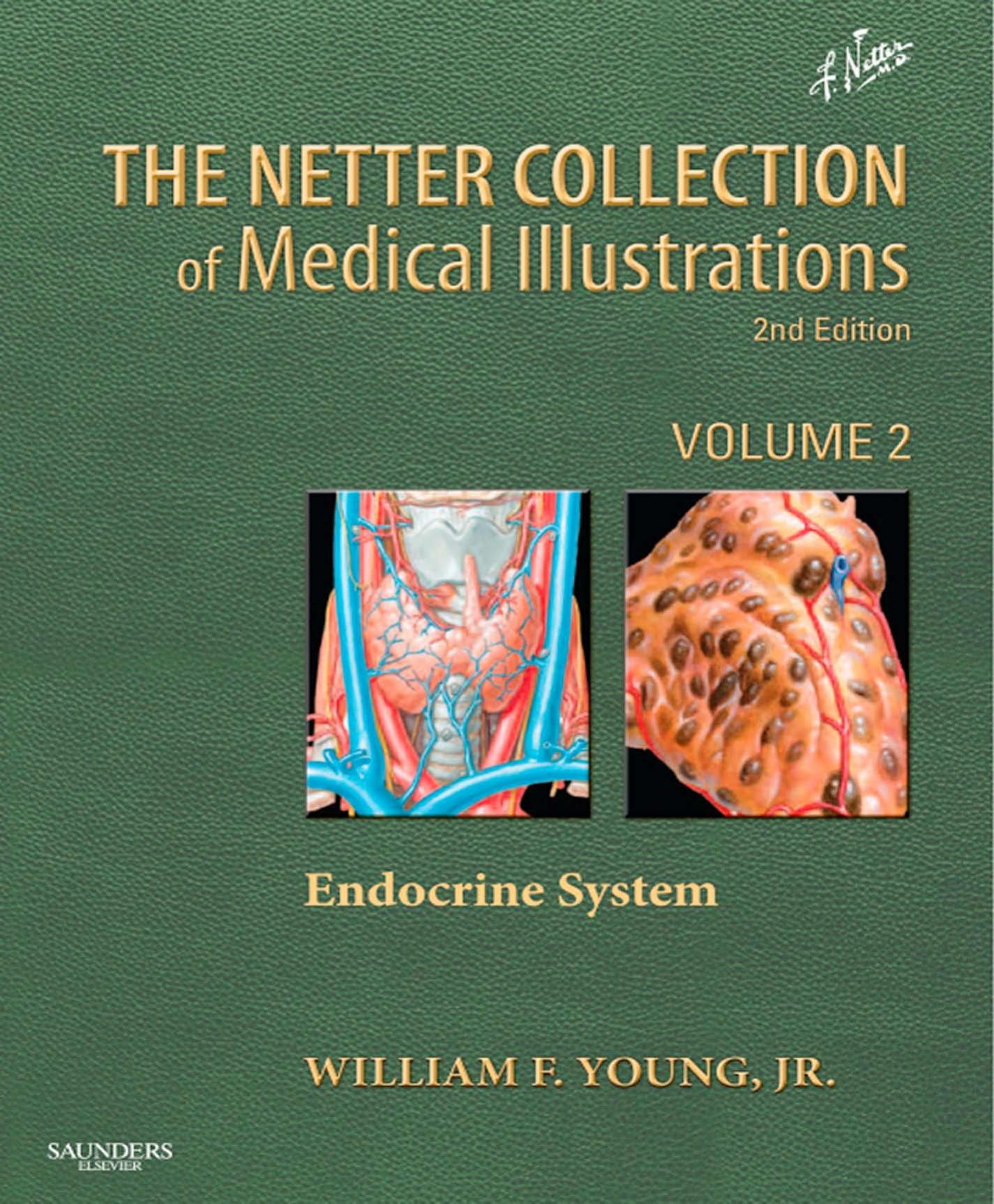 Netter Collection of Medical Illustrations: Endocrine System by unknow
