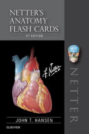 Netter's Anatomy Flash Cards by Hansen John T