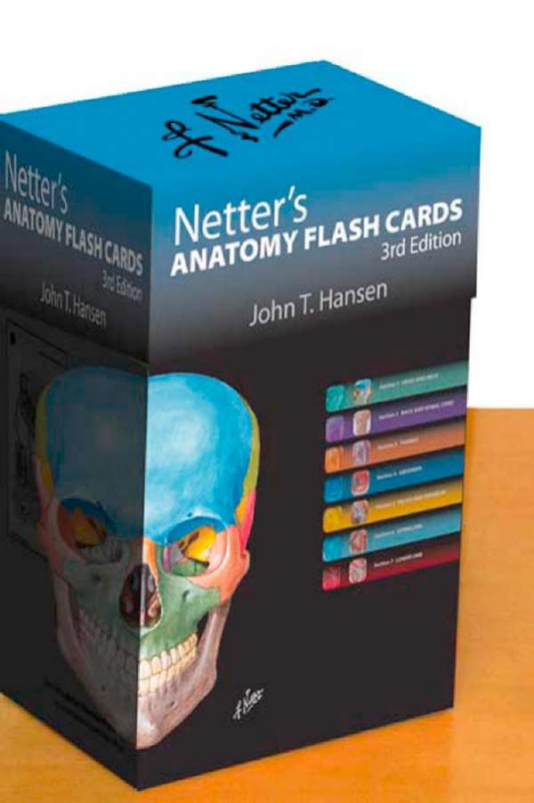Netter's Anatomy Flash Cards: with Online Student Consult Access, 3e by John T. Hansen