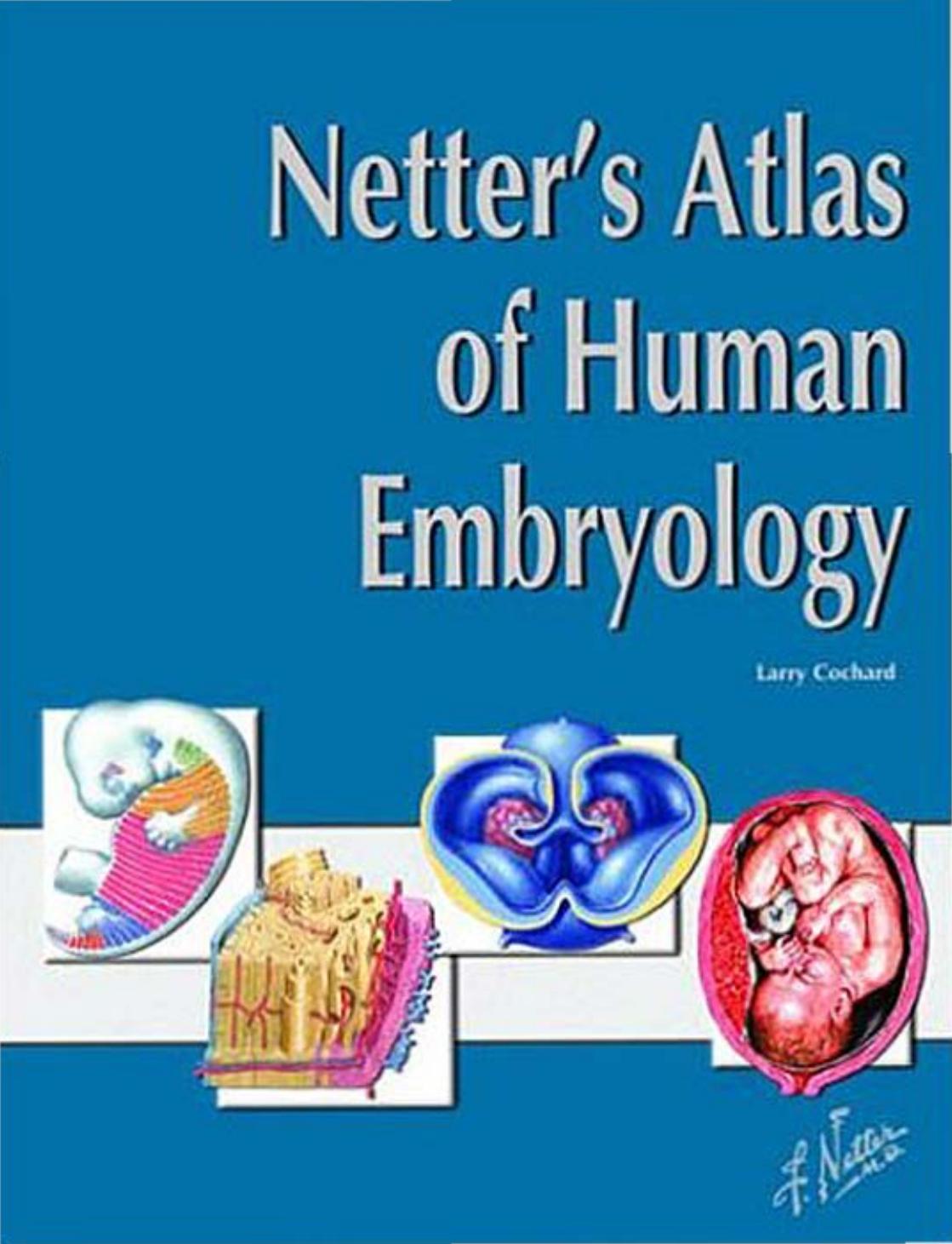 Netter's Atlas of Embryology by Larry Cochard