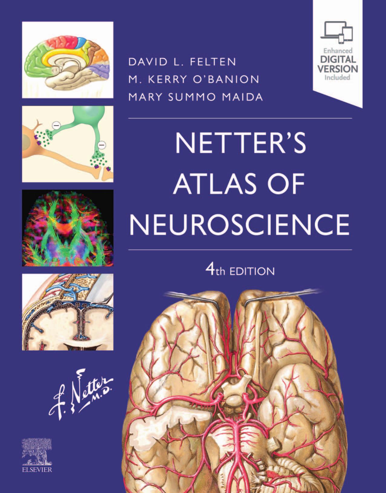 Netter's Atlas of Neuroscience (Netter Basic Science) by Unknown