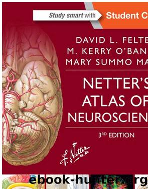 Netter's Atlas of Neuroscience E-Book by Unknown