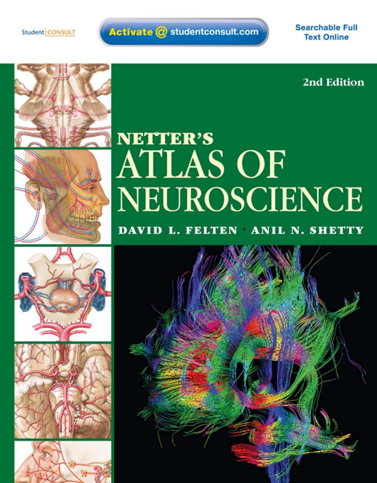 Netter's Atlas of neuroscience (Netter Basic Science) by David L. Felten MD PhD Anil Shetty PhD