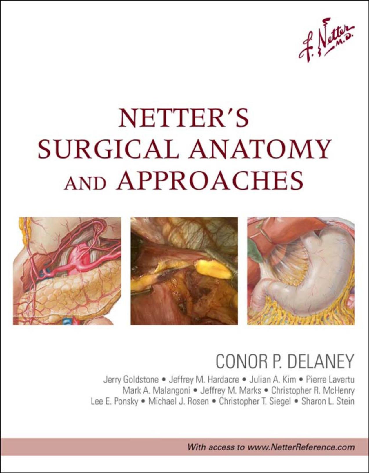 Netter's Surgical Anatomy and Approaches by Delaney Conor