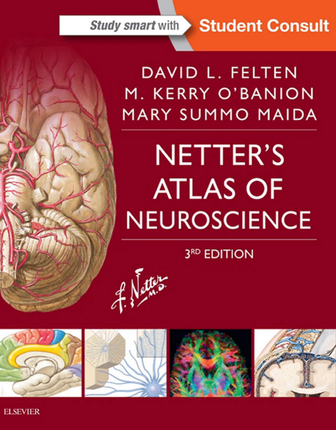 Netter's atlas of neuroscience by unknow