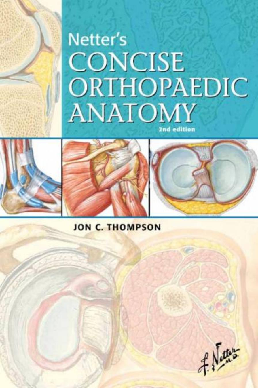 Netter's concise orthopaedic anatomy by Jon C. Thompson; Frank Henry Netter