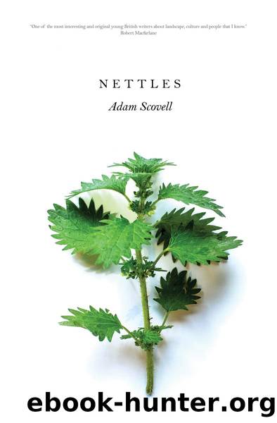 Nettles by Adam Scovell