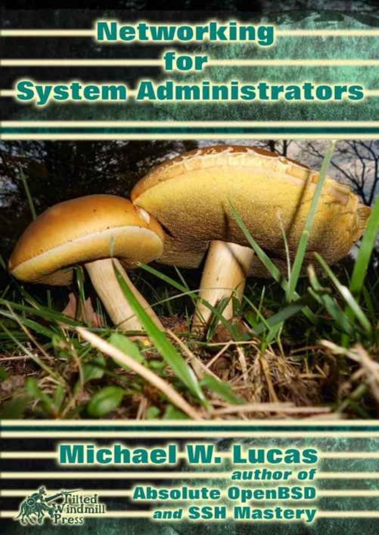 Networking for Systems Administrators (IT Mastery Book 5) by Michael W Lucas