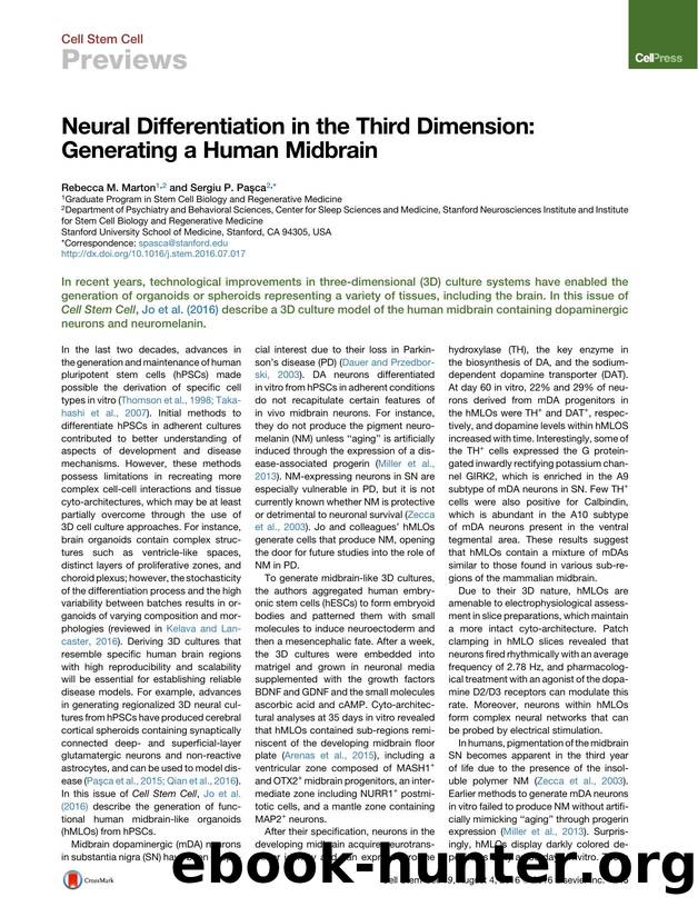 Neural Differentiation in the Third Dimension: Generating a Human Midbrain by Rebecca M. Marton & Sergiu P. Paşca