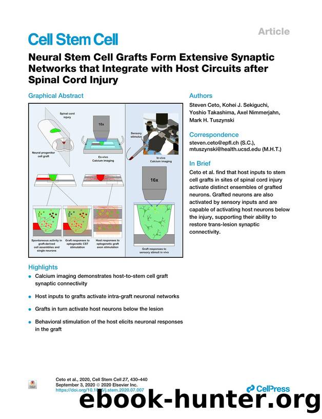 Neural Stem Cell Grafts Form Extensive Synaptic Networks that Integrate with Host Circuits after Spinal Cord Injury by Steven Ceto & Kohei J. Sekiguchi & Yoshio Takashima & Axel Nimmerjahn & Mark H. Tuszynski
