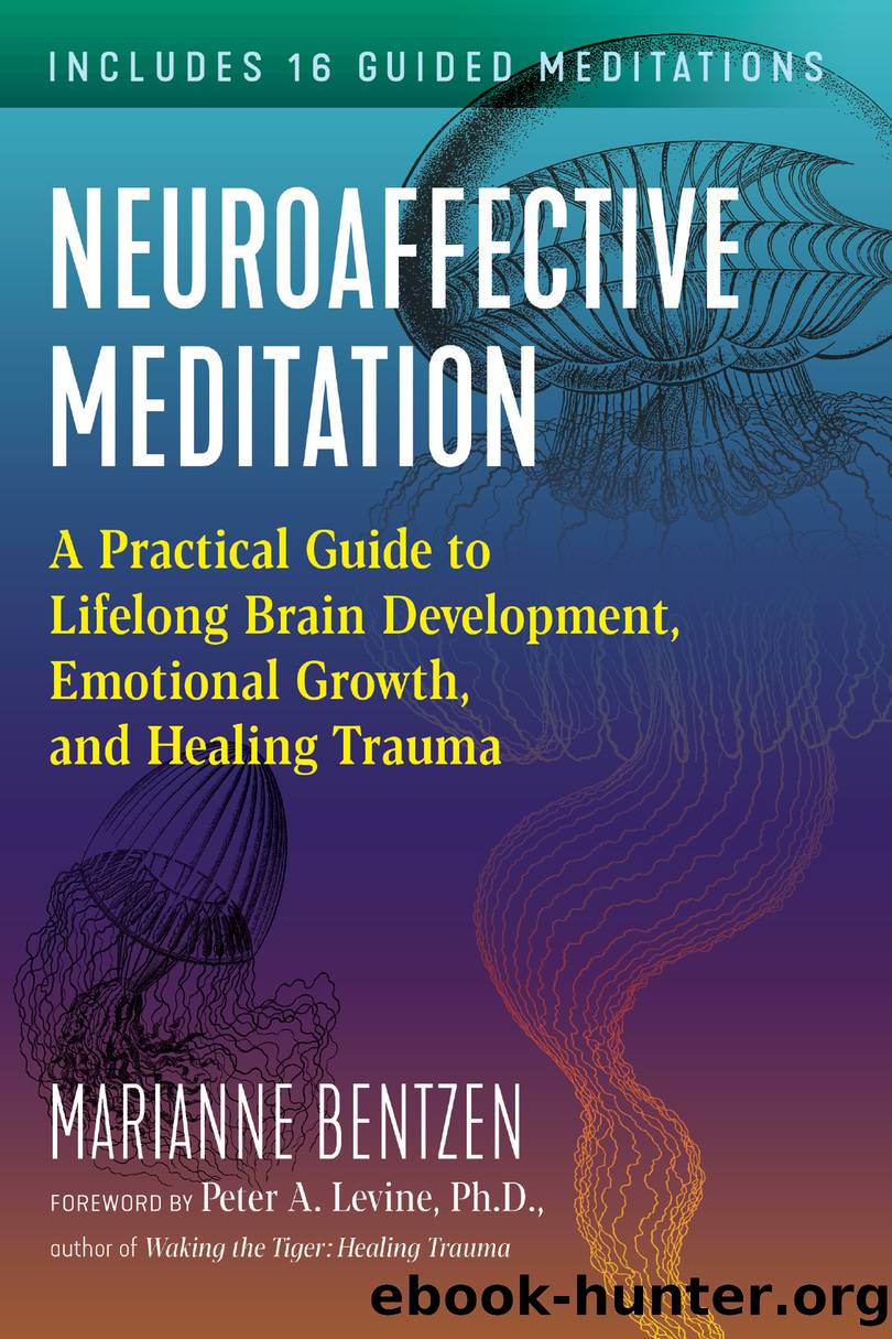 Neuroaffective Meditation by Marianne Bentzen