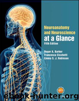 Neuroanatomy and Neuroscience at a Glance by Roger A. Barker