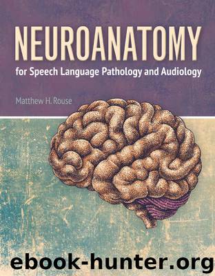 Neuroanatomy for Speech Language Pathology and Audiology by Rouse