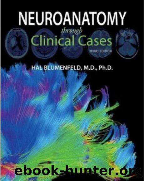 Neuroanatomy through Clinical Cases 3rd Edition by Unknown