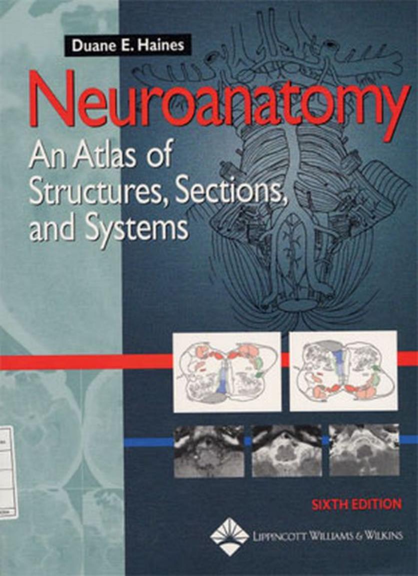 Neuroanatomy: An Atlas of Structures, Sections, and Systems by Duane E. Haines PhD