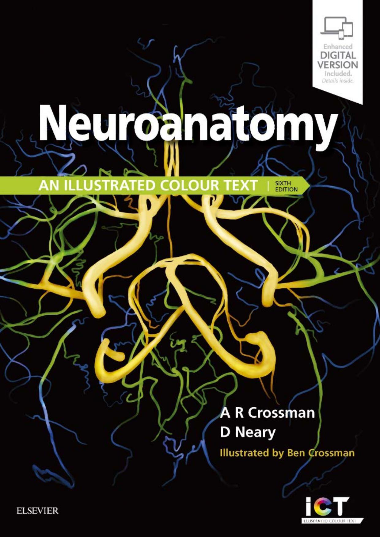 Neuroanatomy: An Illustrated Colour Text by Alan Crossman David Neary