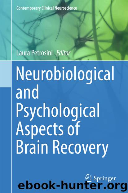Neurobiological and Psychological Aspects of Brain Recovery by Laura Petrosini