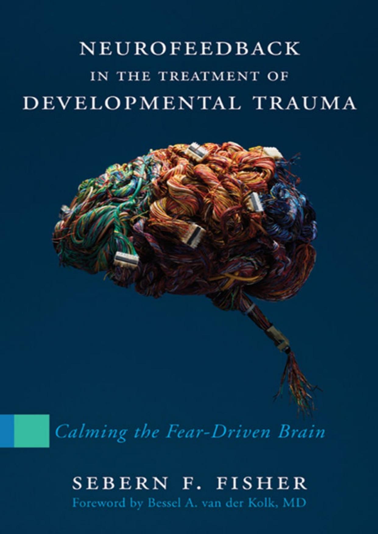 Neurofeedback in the Treatment of Developmental Trauma: Calming the Fear-Driven Brain by Sebern Fisher