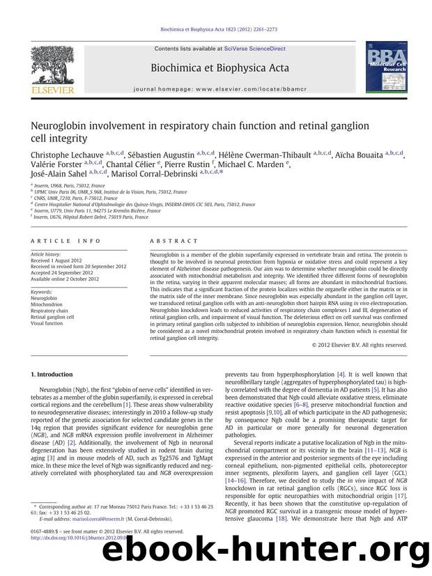 Neuroglobin involvement in respiratory chain function and retinal ganglion cell integrity by unknow