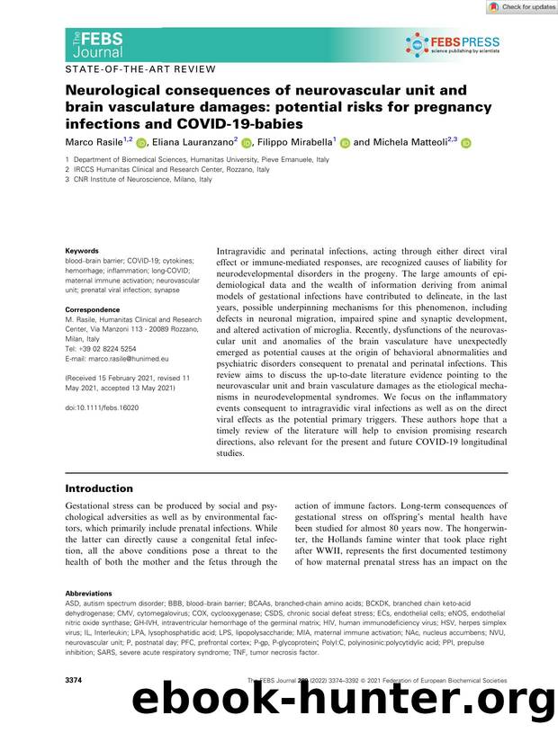 Neurological consequences of neurovascular unit and brain vasculature damages: potential risks for pregnancy infections and COVIDâ19âbabies by Unknown