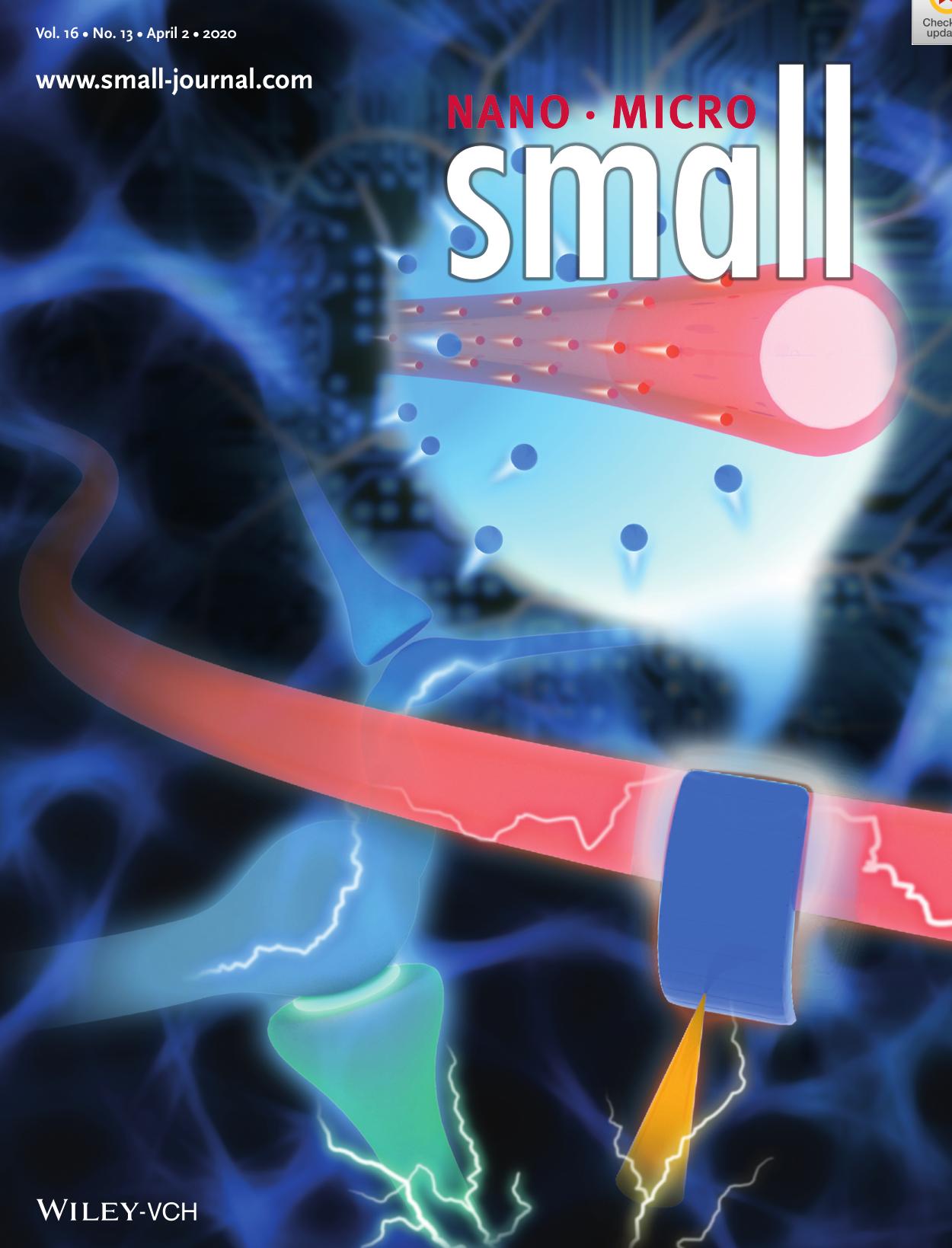 Neuromorphic Computing: The Design of 3DâInterface Architecture in an UltralowâPower, Electrospun SingleâFiber Synaptic Transistor for Neuromorphic Computing (Small 132020) by Unknown