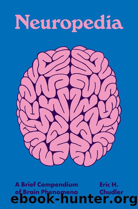 Neuropedia by Eric H. Chudler