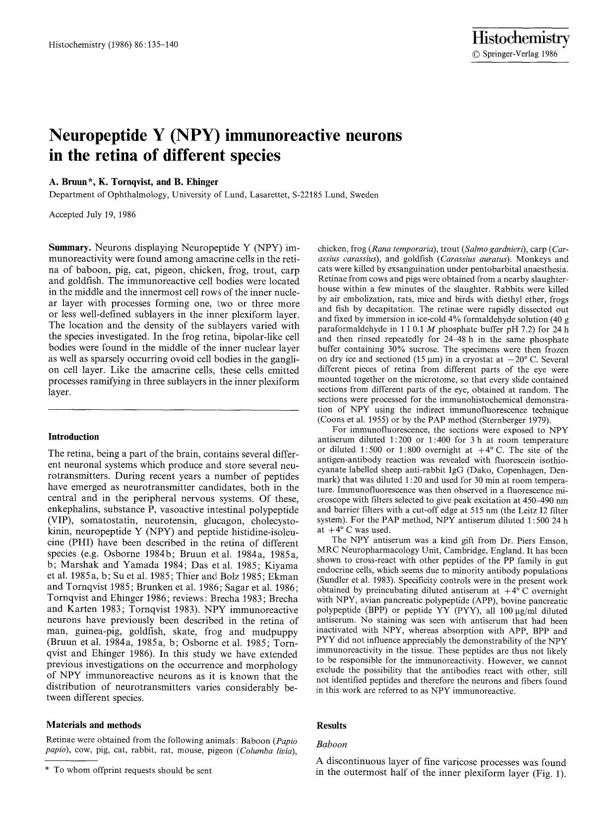 Neuropeptide Y (NPY) immunoreactive neurons in the retina of different species by Unknown