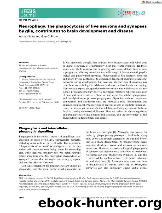 Neurophagy, the phagocytosis of live neurons and synapses by glia, contributes to brain development and disease by Unknown