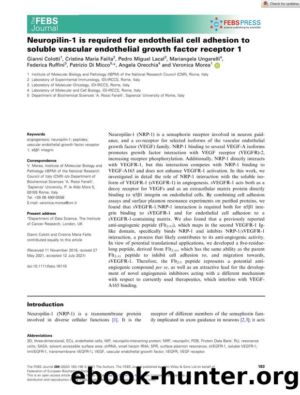 Neuropilinâ1 is required for endothelial cell adhesion to soluble vascular endothelial growth factor receptor 1 by Unknown