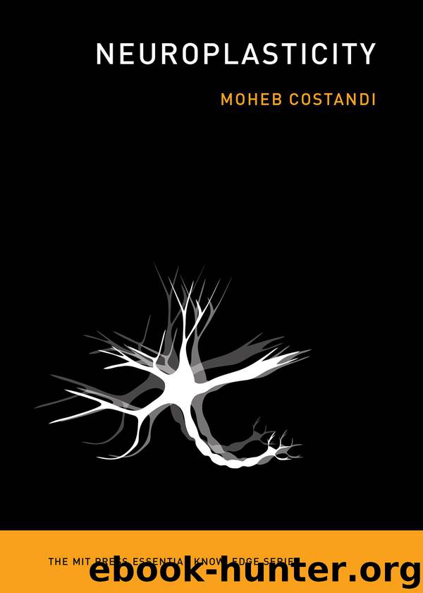 Neuroplasticity by Moheb Costandi