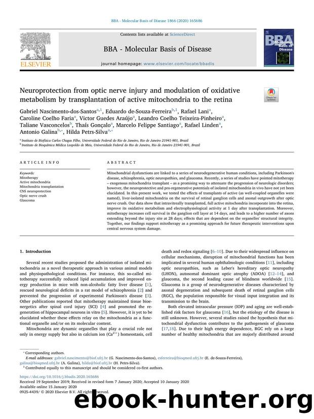 Neuroprotection from optic nerve injury and modulation of oxidative metabolism by transplantation of active mitochondria to the retina by unknow