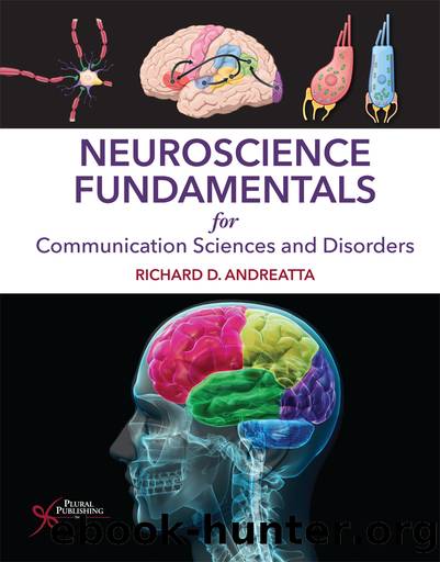 Neuroscience Fundamentals for Communication Sciences and Disorders by Richard D. Andreatta;