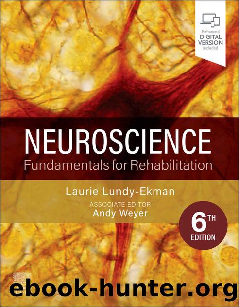 Neuroscience Fundamentals for Rehabilitation by Lundy-Ekman Laurie