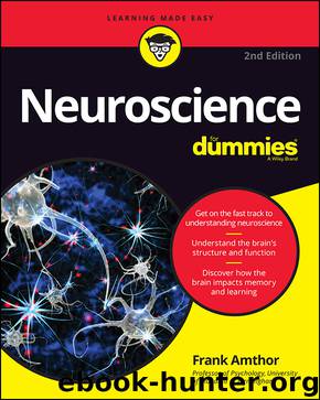 Neuroscience for Dummies by Frank Amthor