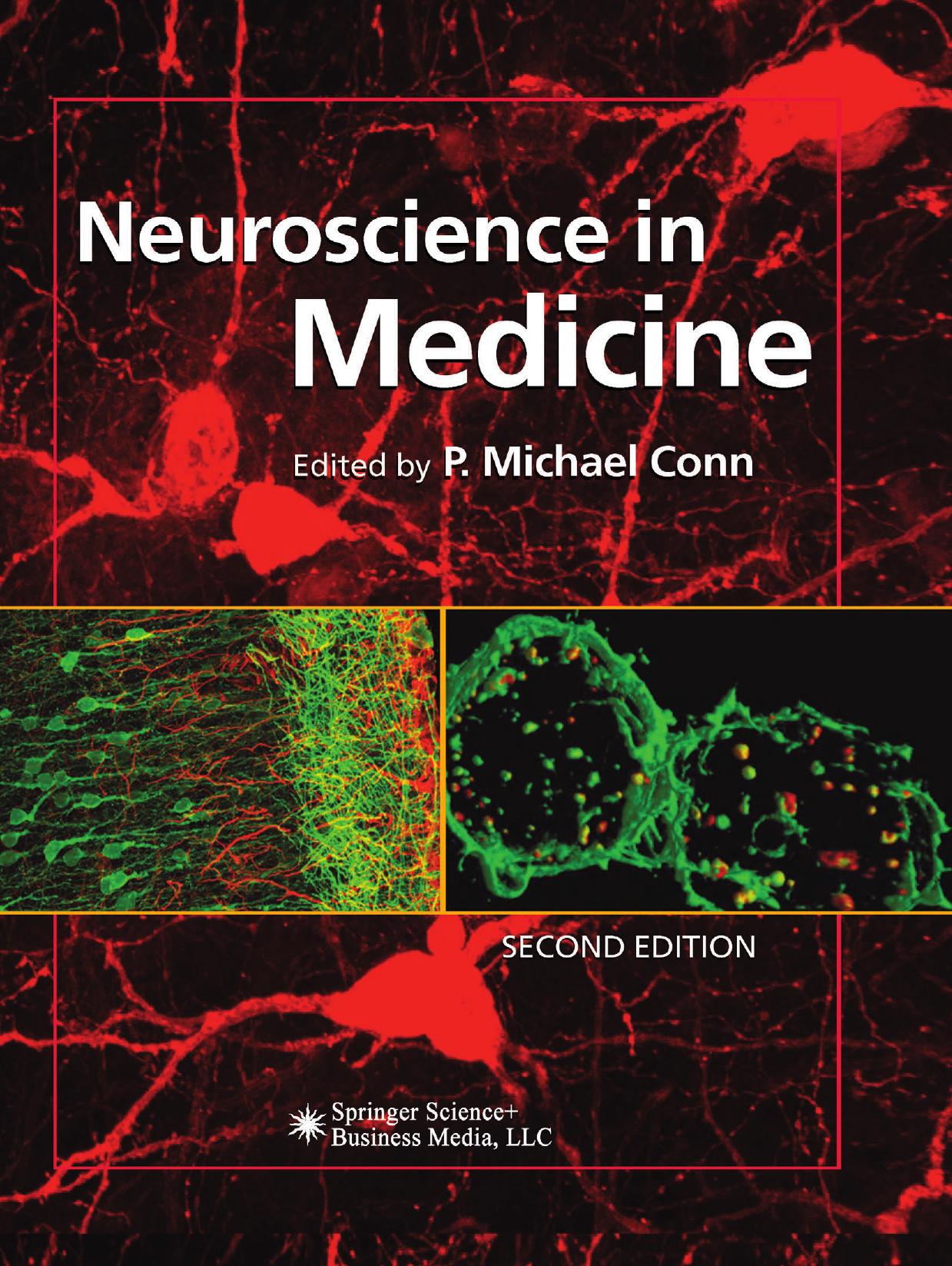 Neuroscience in Medicine by Rochelle S. Cohen Donald W. Pfaff (auth.) P. Michael Conn (eds.)