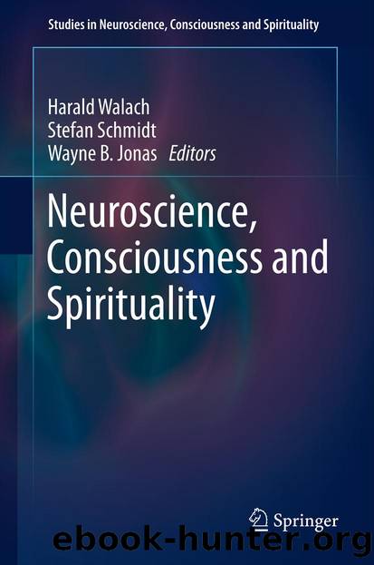 Neuroscience, Consciousness and Spirituality by Harald Walach Stefan Schmidt & Wayne B. Jonas