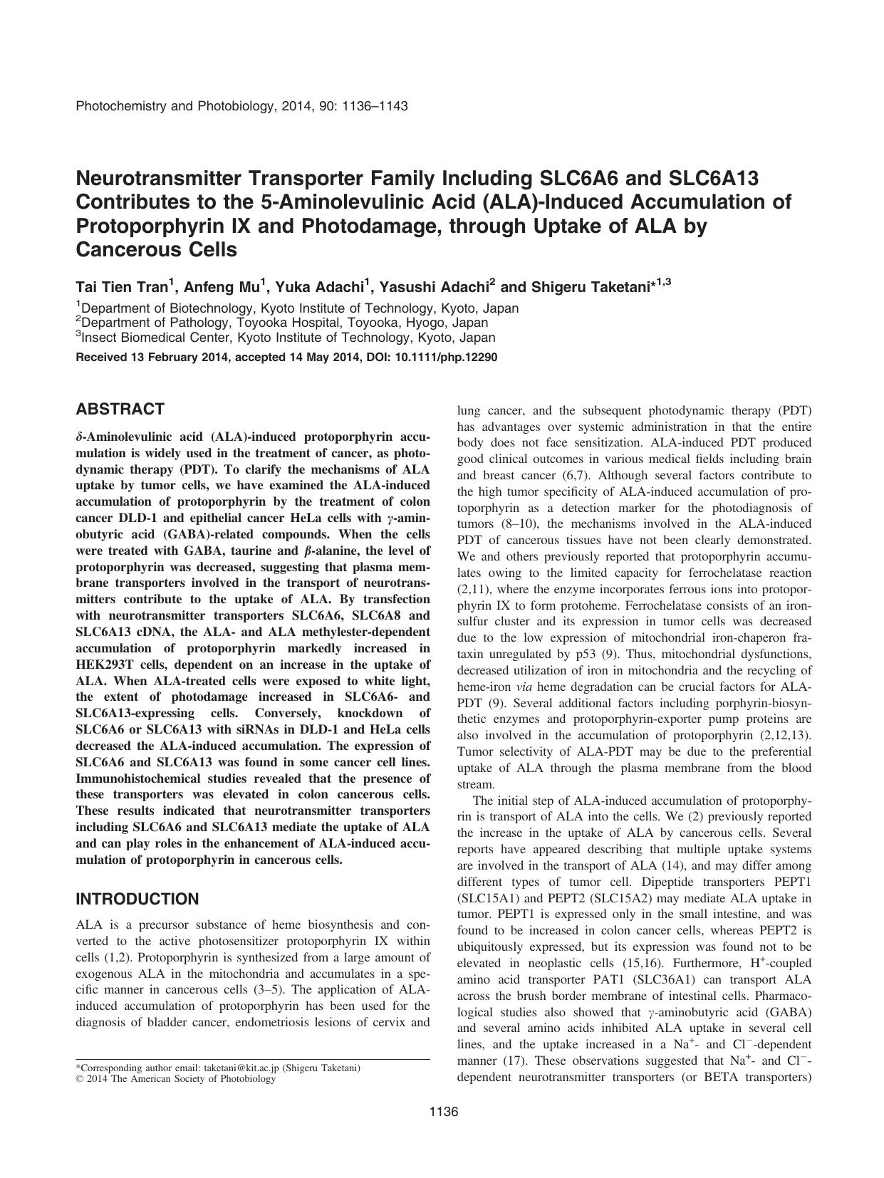 Neurotransmitter Transporter Family Including SLC6A6 and SLC6A13 Contributes to the 5Aminolevulinic Acid (ALA)Induced Accumulation of Protoporphyrin IX and Photodamage, through Upt by Unknown