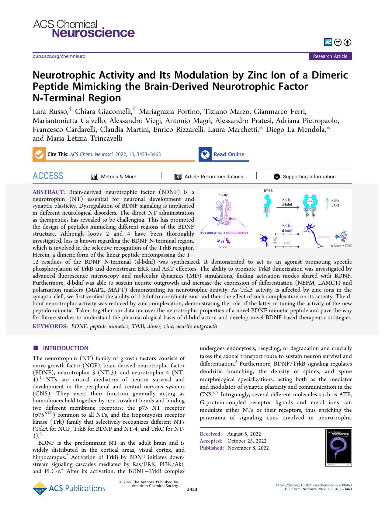Neurotrophic Activity and Its Modulation by Zinc Ion of a Dimeric Peptide Mimicking the Brain-Derived Neurotrophic Factor N-Terminal Region by unknow
