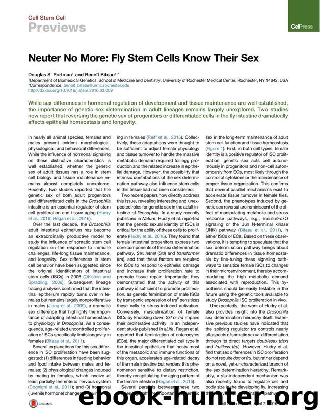 Neuter No More: Fly Stem Cells Know Their Sex by Douglas S. Portman & Benoît Biteau