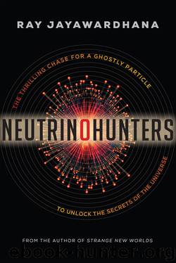 Neutrino Hunters by Ray Jayawardhana