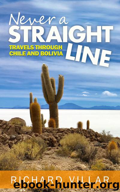Never A Straight Line by Richard Villar