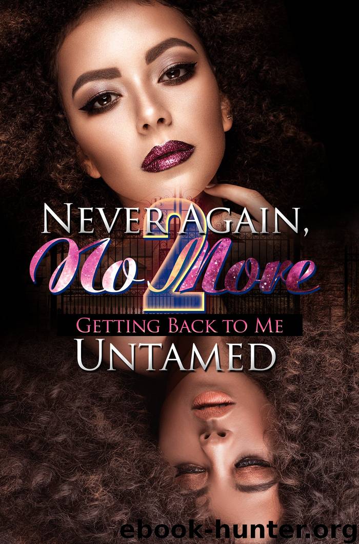 Never Again, No More 2 by Untamed