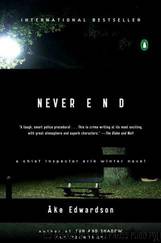 Never End by Ake Edwardson; Laurie Thompson