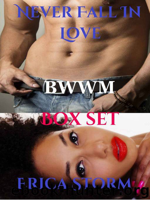 Never Fall In Love (BWWM Box Set) by Erica Storm