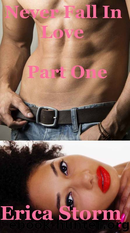 Never Fall In Love 1 by Erica Storm