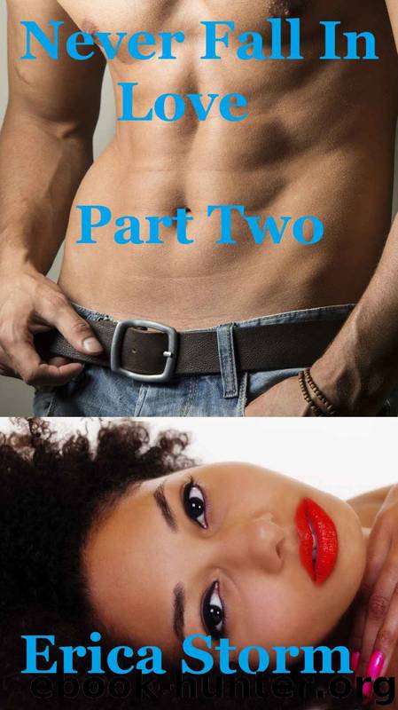 Never Fall In Love 2 by Erica Storm