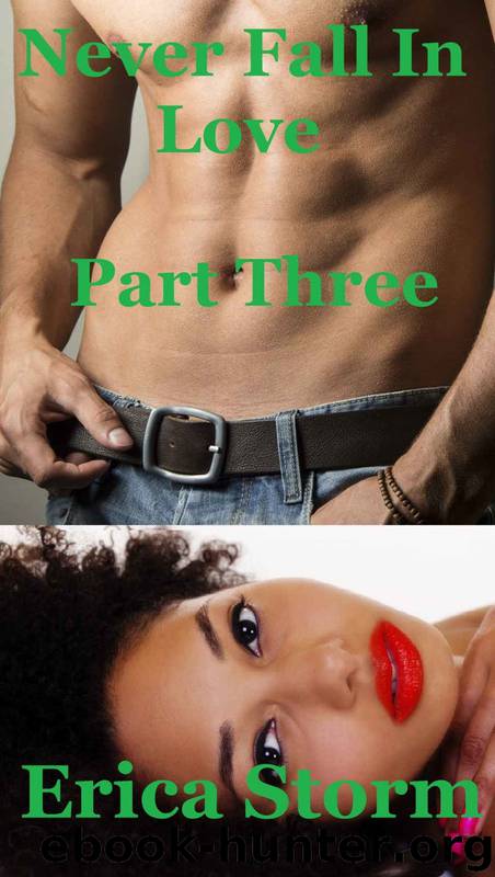 Never Fall In Love 3 by Erica Storm