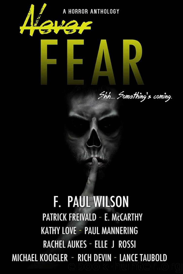 Never Fear by unknow