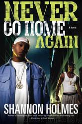 Never Go Home Again: A Novel by Shannon Holmes